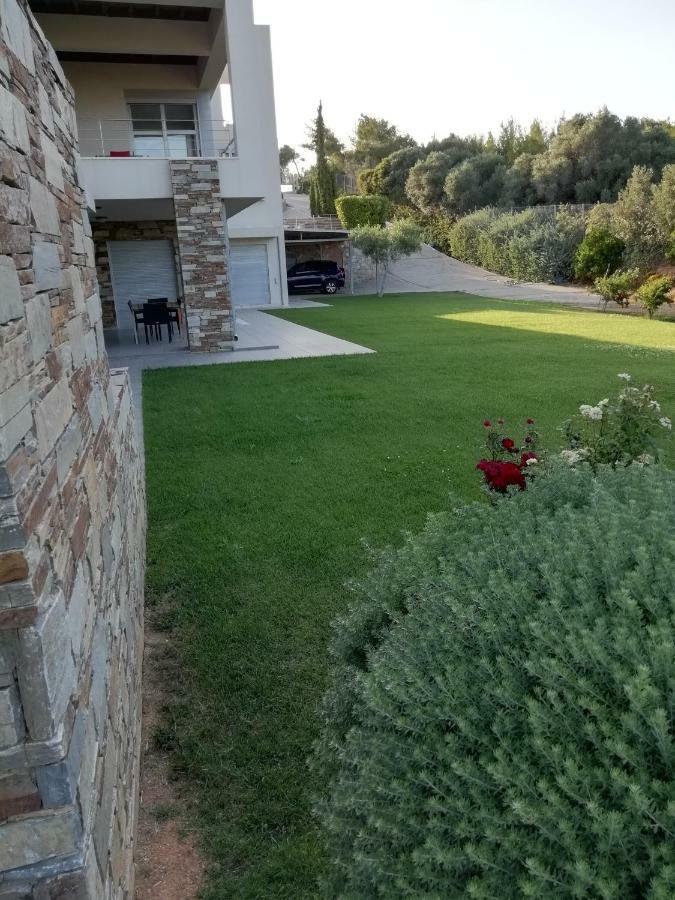 Hotel Dimitra Rafína Exteriér fotografie