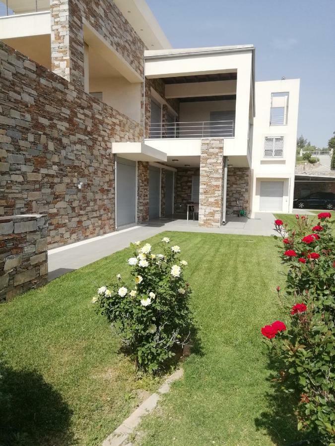Hotel Dimitra Rafína Exteriér fotografie
